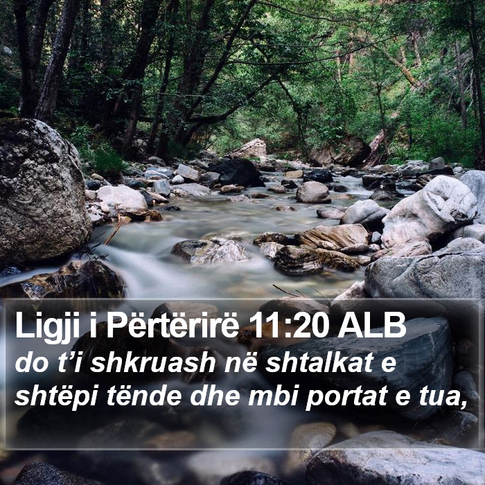 Ligji i Përtërirë 11:20 ALB Bible Study