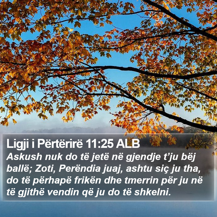 Ligji i Përtërirë 11:25 ALB Bible Study