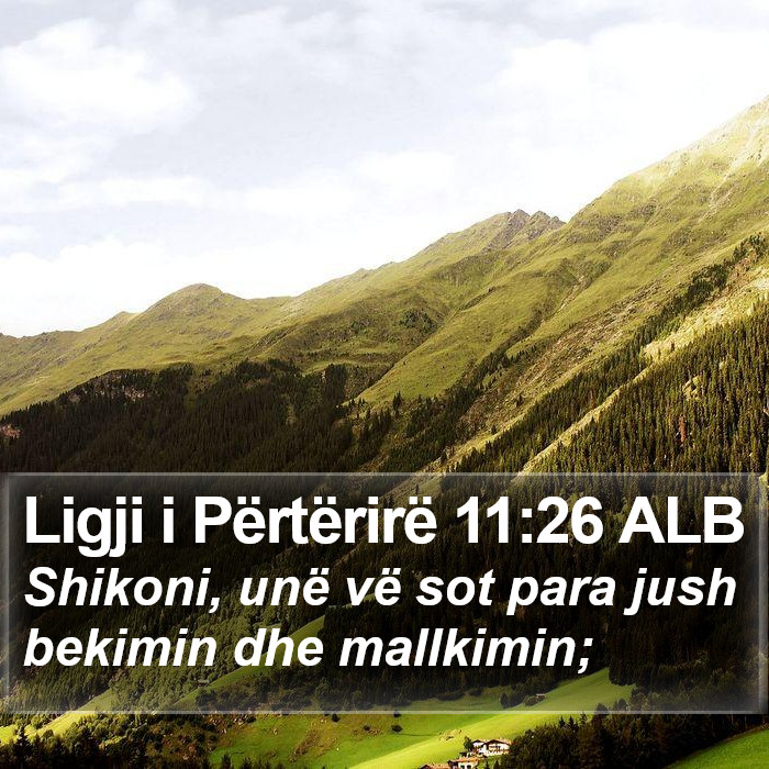 Ligji i Përtërirë 11:26 ALB Bible Study