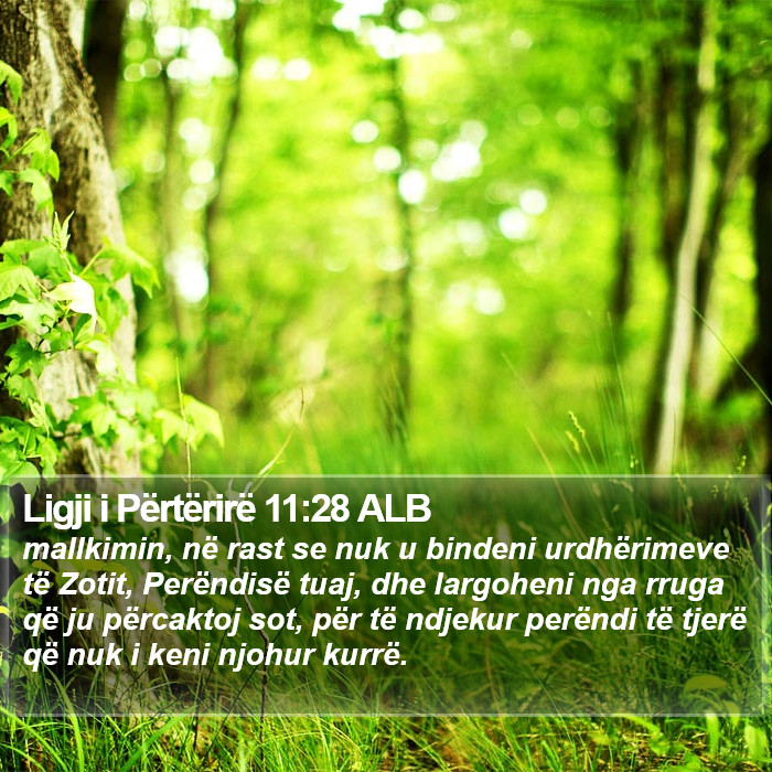 Ligji i Përtërirë 11:28 ALB Bible Study