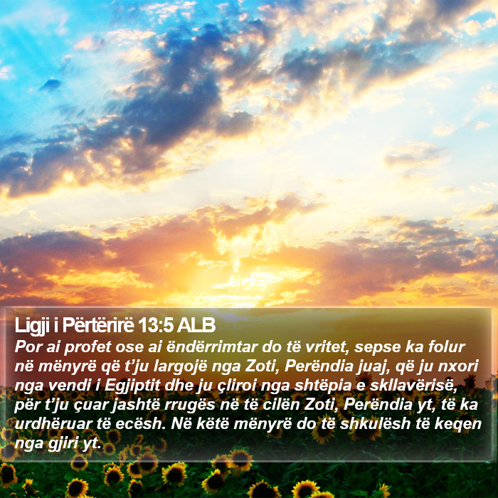 Ligji i Përtërirë 13:5 ALB Bible Study