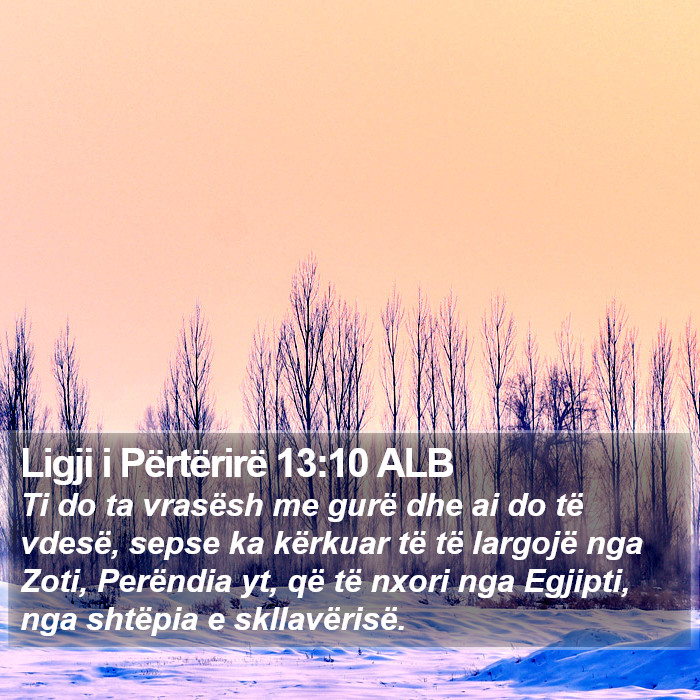 Ligji i Përtërirë 13:10 ALB Bible Study