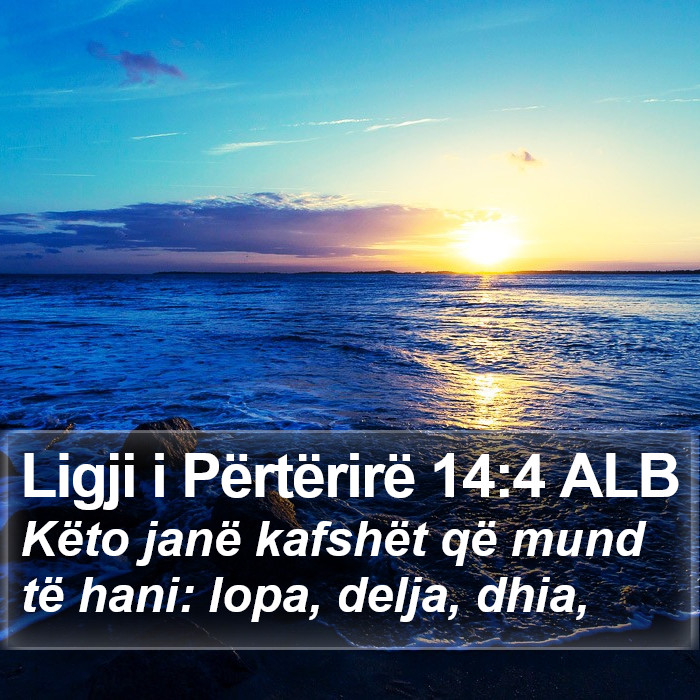 Ligji i Përtërirë 14:4 ALB Bible Study