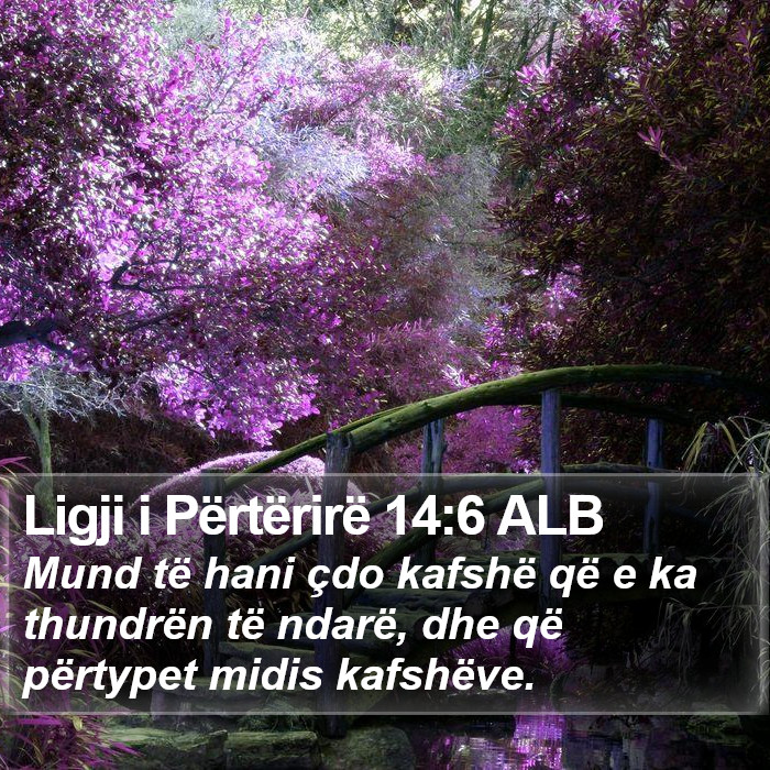 Ligji i Përtërirë 14:6 ALB Bible Study