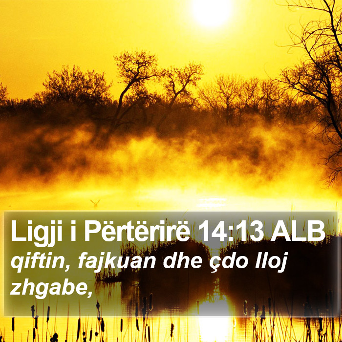 Ligji i Përtërirë 14:13 ALB Bible Study