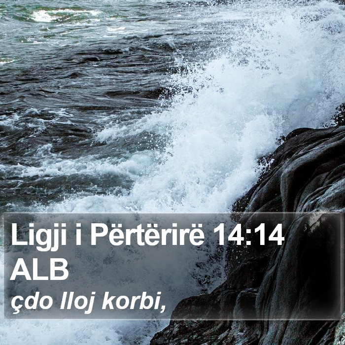 Ligji i Përtërirë 14:14 ALB Bible Study