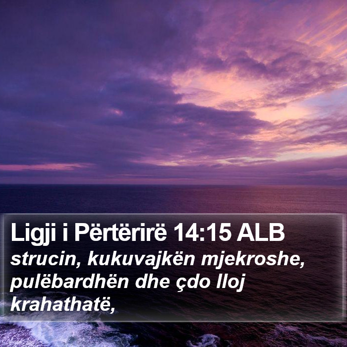 Ligji i Përtërirë 14:15 ALB Bible Study