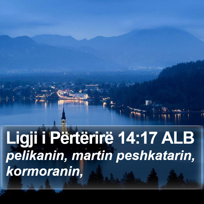 Ligji i Përtërirë 14:17 ALB Bible Study