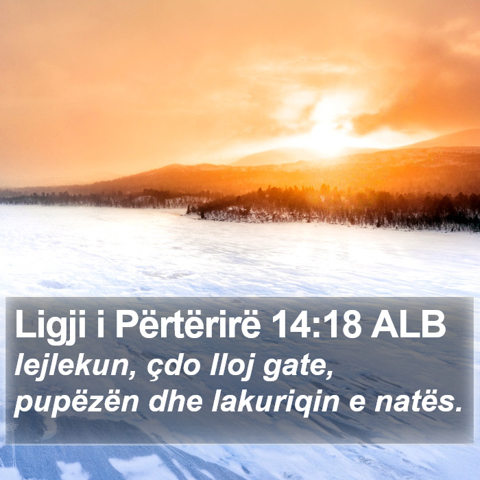 Ligji i Përtërirë 14:18 ALB Bible Study