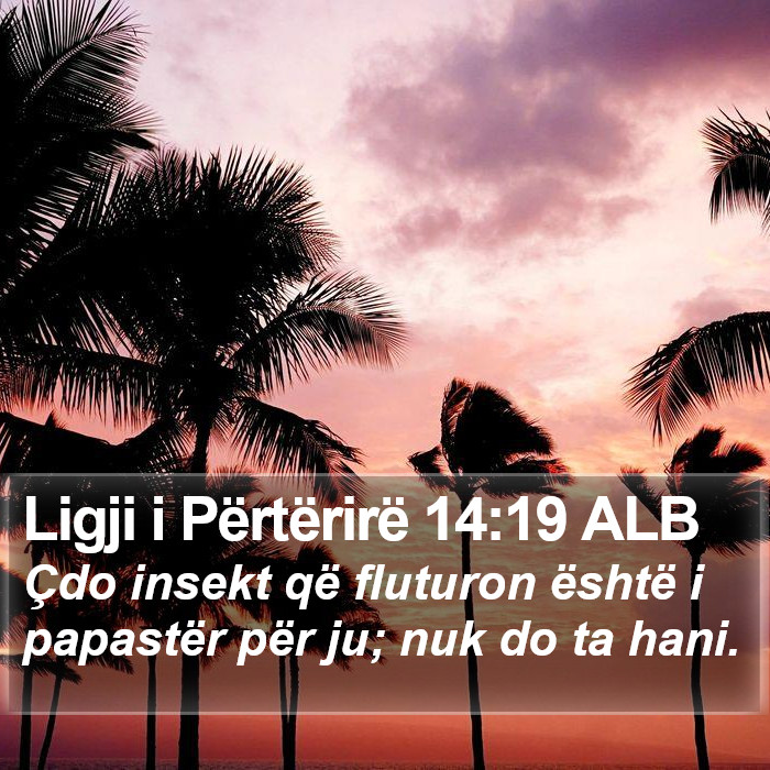 Ligji i Përtërirë 14:19 ALB Bible Study