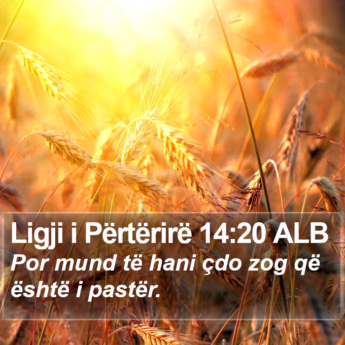 Ligji i Përtërirë 14:20 ALB Bible Study