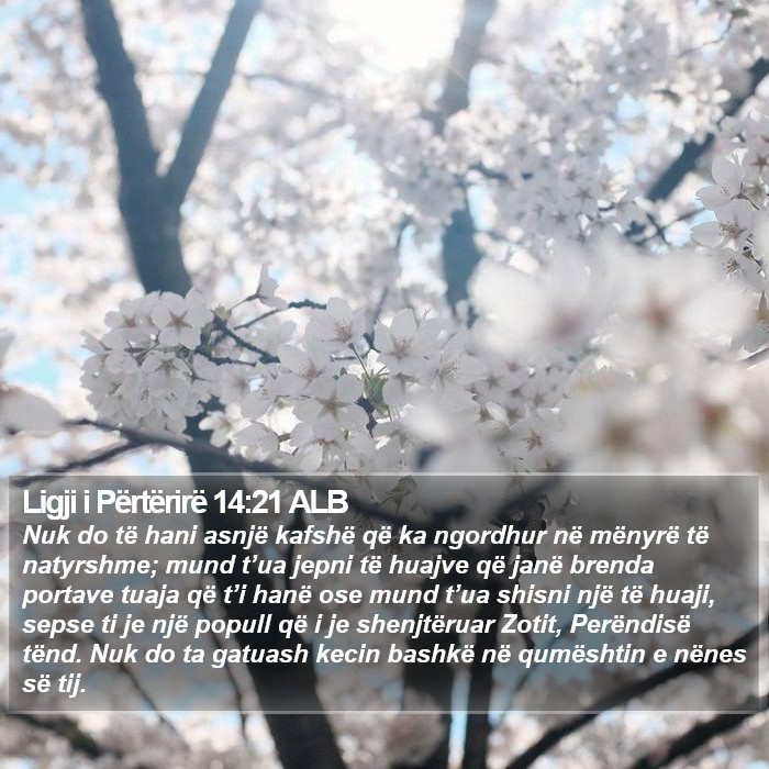 Ligji i Përtërirë 14:21 ALB Bible Study