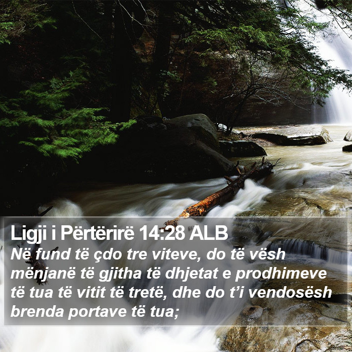 Ligji i Përtërirë 14:28 ALB Bible Study