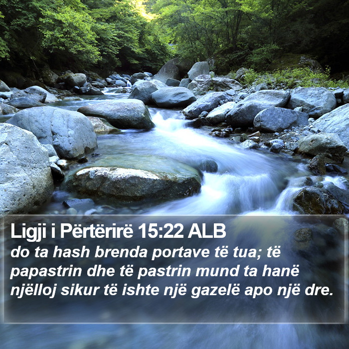 Ligji i Përtërirë 15:22 ALB Bible Study