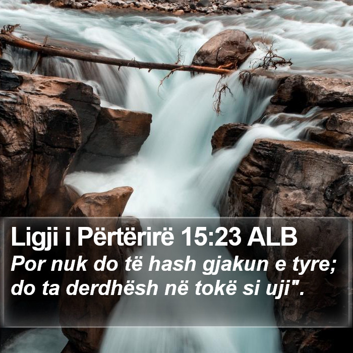 Ligji i Përtërirë 15:23 ALB Bible Study