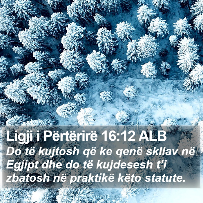Ligji i Përtërirë 16:12 ALB Bible Study