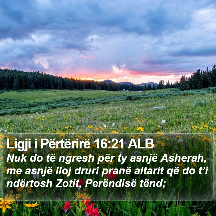Ligji i Përtërirë 16:21 ALB Bible Study