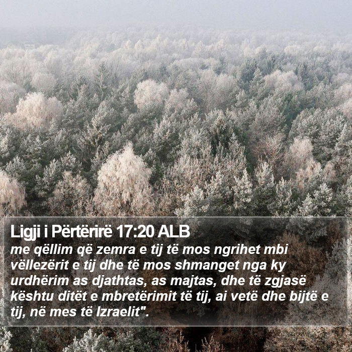 Ligji i Përtërirë 17:20 ALB Bible Study