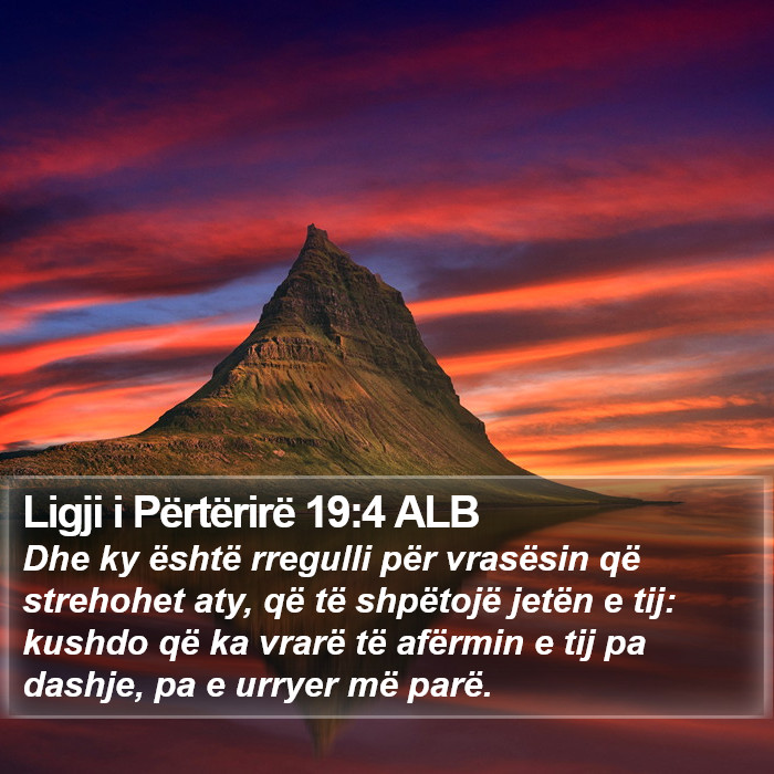 Ligji i Përtërirë 19:4 ALB Bible Study