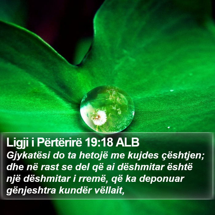 Ligji i Përtërirë 19:18 ALB Bible Study