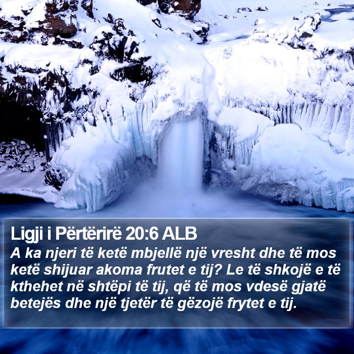 Ligji i Përtërirë 20:6 ALB Bible Study