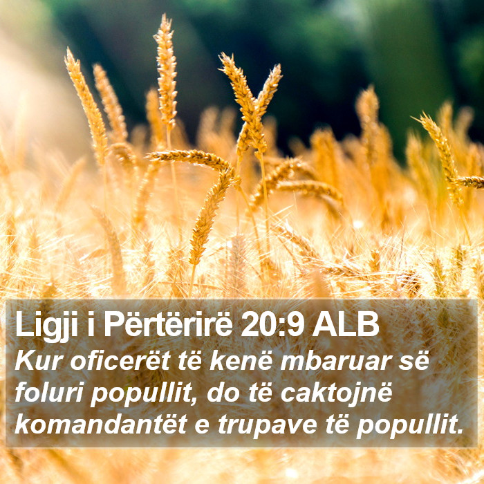 Ligji i Përtërirë 20:9 ALB Bible Study