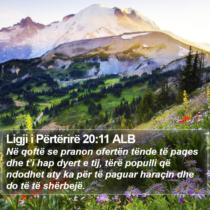 Ligji i Përtërirë 20:11 ALB Bible Study