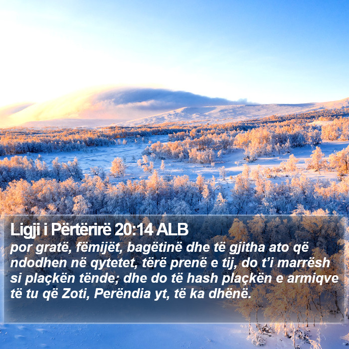 Ligji i Përtërirë 20:14 ALB Bible Study