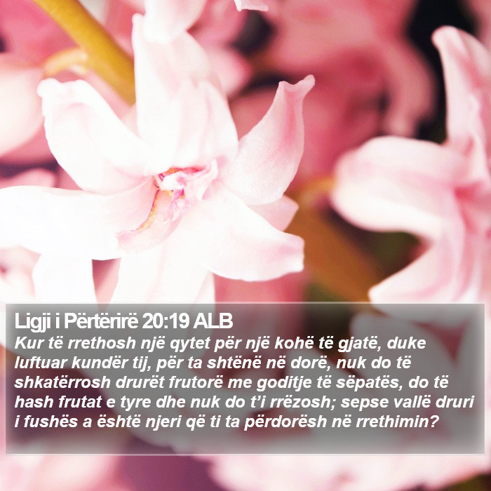 Ligji i Përtërirë 20:19 ALB Bible Study