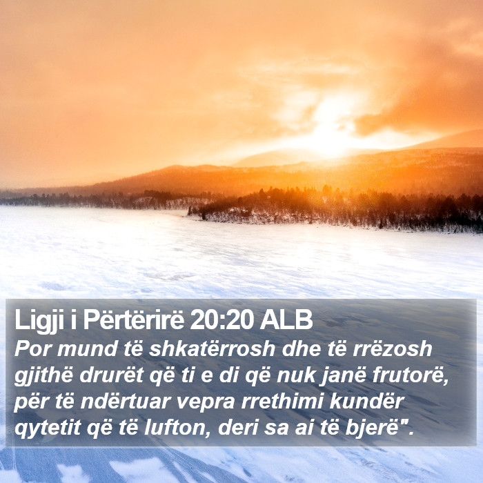 Ligji i Përtërirë 20:20 ALB Bible Study