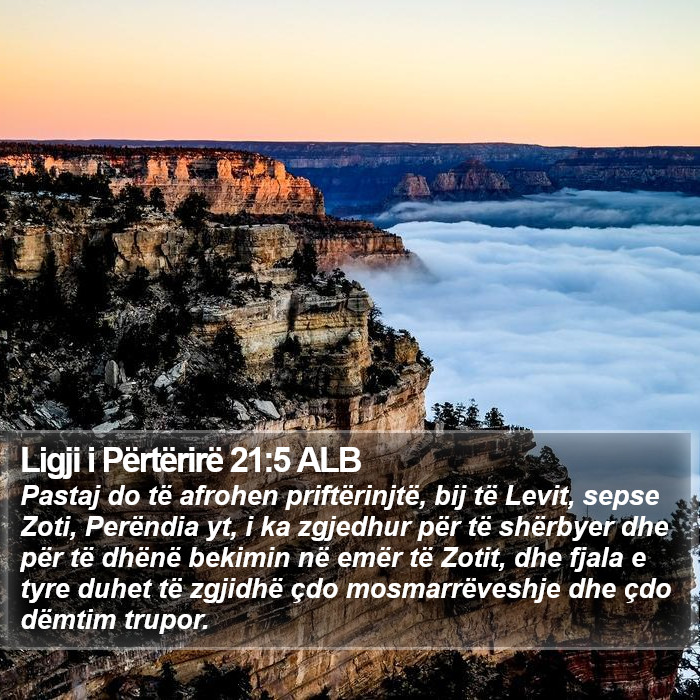 Ligji i Përtërirë 21:5 ALB Bible Study