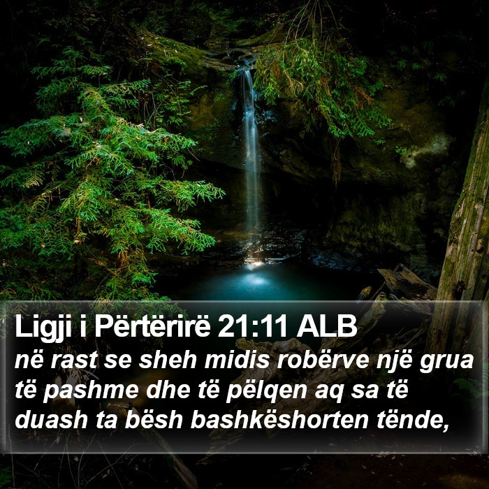 Ligji i Përtërirë 21:11 ALB Bible Study