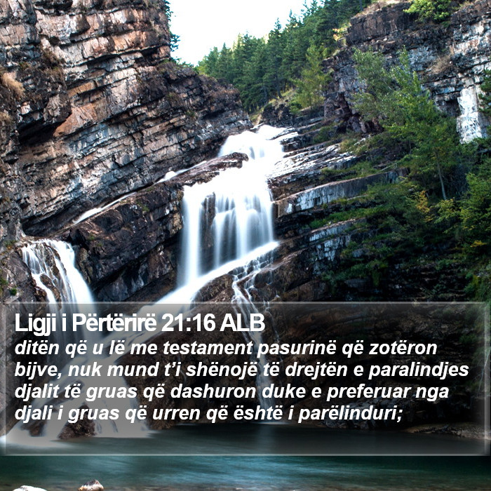 Ligji i Përtërirë 21:16 ALB Bible Study