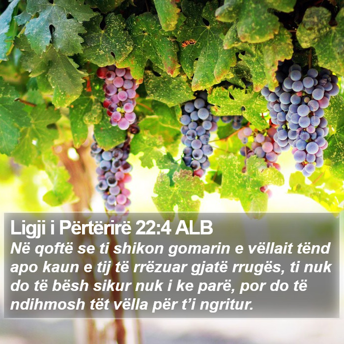 Ligji i Përtërirë 22:4 ALB Bible Study