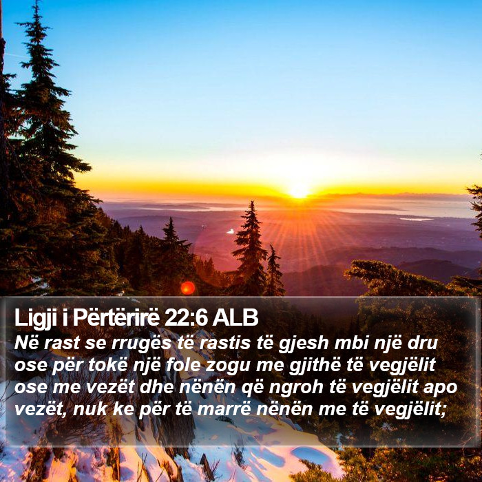 Ligji i Përtërirë 22:6 ALB Bible Study