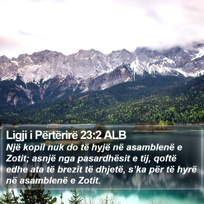 Ligji i Përtërirë 23:2 ALB Bible Study