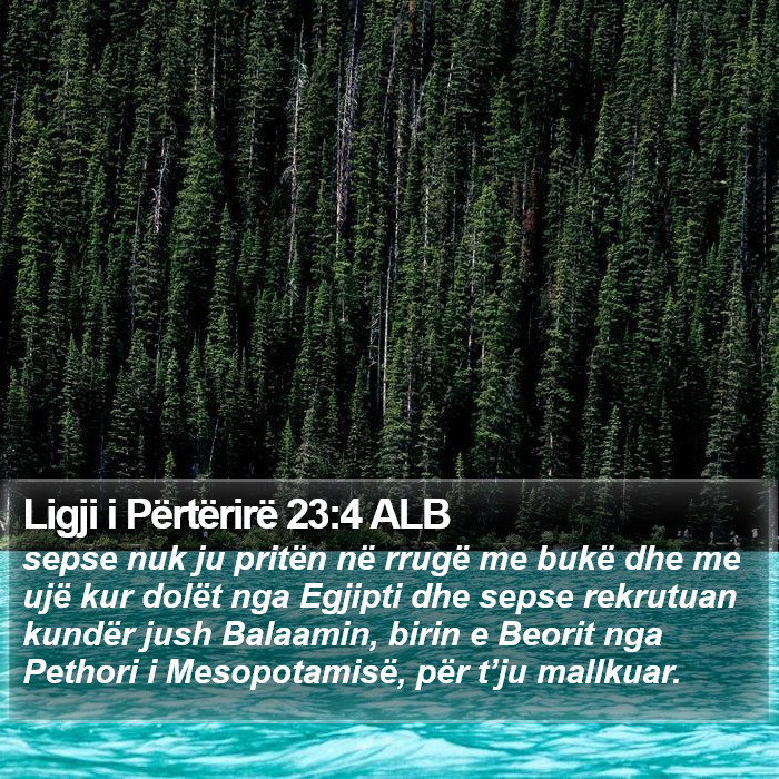 Ligji i Përtërirë 23:4 ALB Bible Study