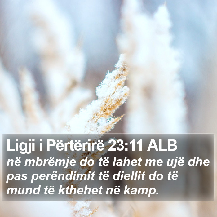 Ligji i Përtërirë 23:11 ALB Bible Study