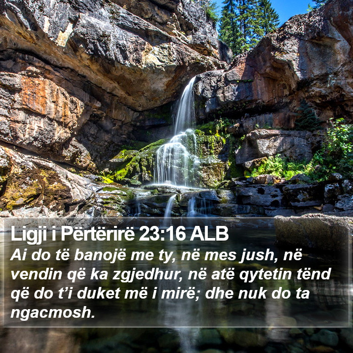 Ligji i Përtërirë 23:16 ALB Bible Study