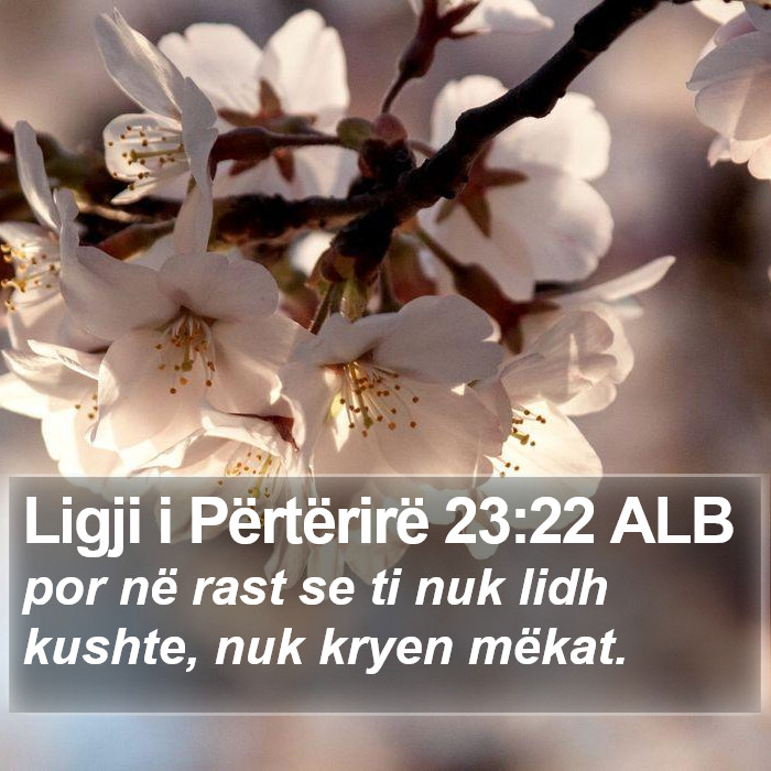 Ligji i Përtërirë 23:22 ALB Bible Study