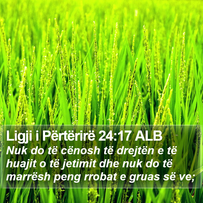 Ligji i Përtërirë 24:17 ALB Bible Study