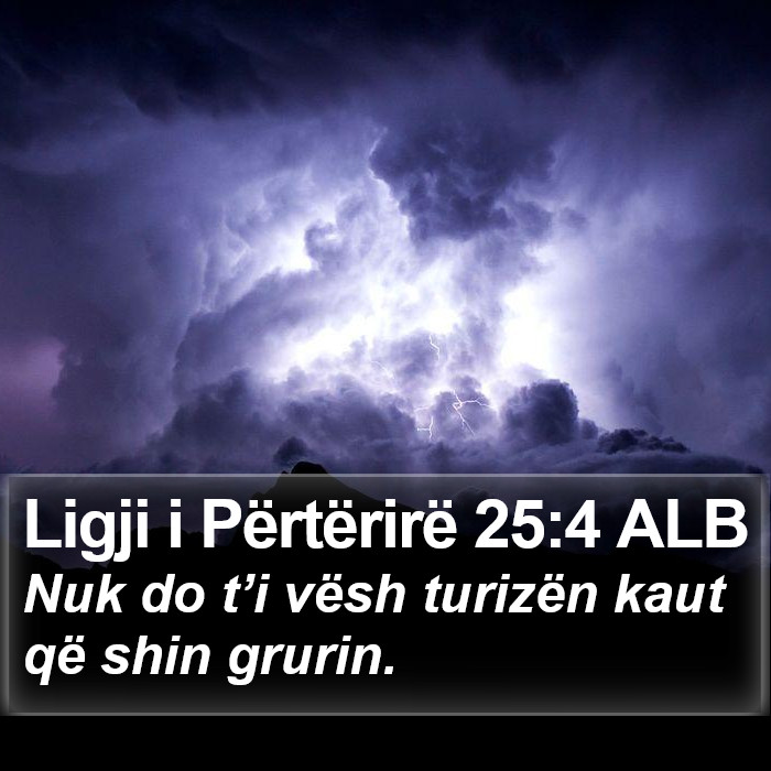 Ligji i Përtërirë 25:4 ALB Bible Study