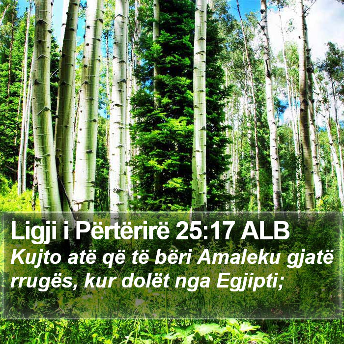 Ligji i Përtërirë 25:17 ALB Bible Study