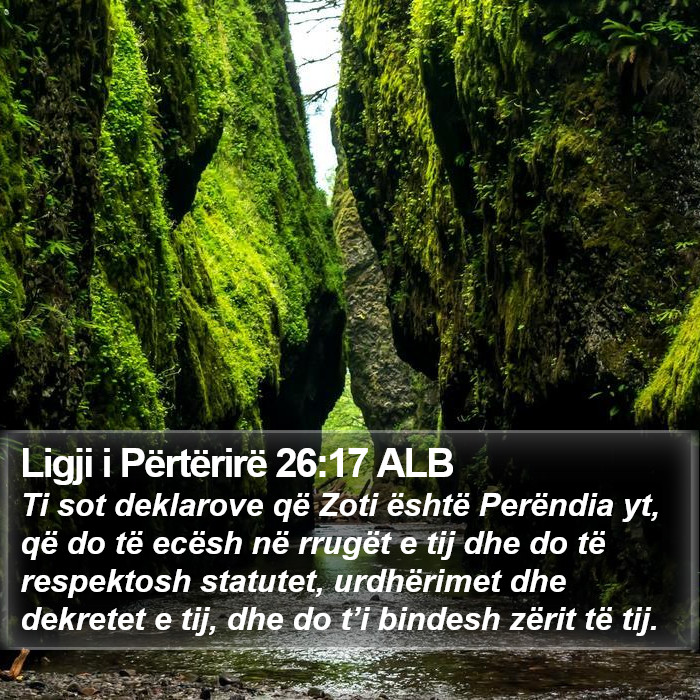 Ligji i Përtërirë 26:17 ALB Bible Study