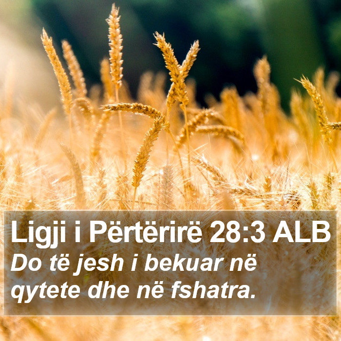 Ligji i Përtërirë 28:3 ALB Bible Study