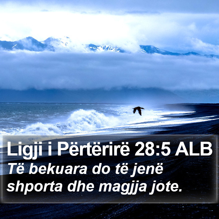 Ligji i Përtërirë 28:5 ALB Bible Study