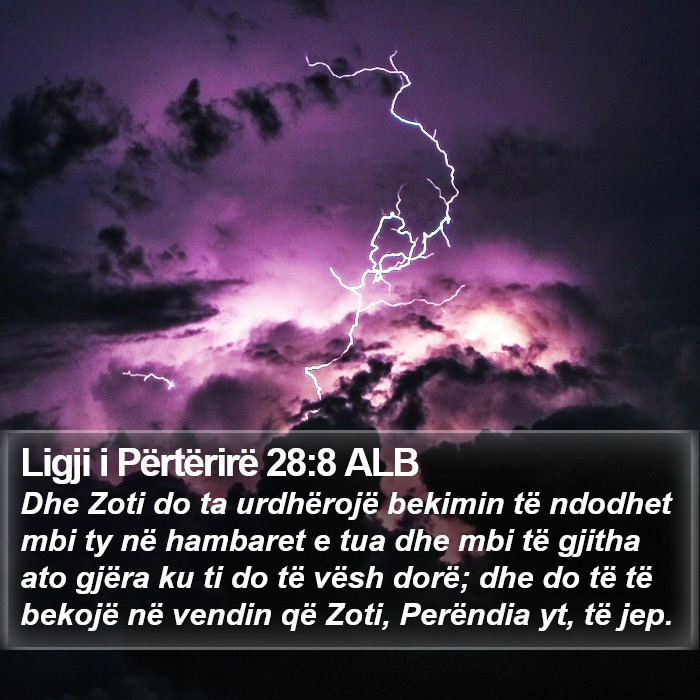 Ligji i Përtërirë 28:8 ALB Bible Study