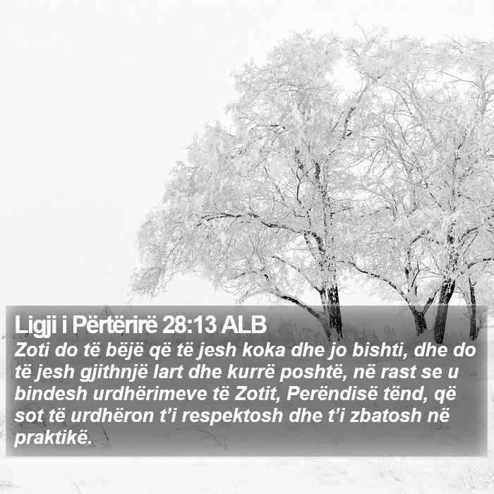 Ligji i Përtërirë 28:13 ALB Bible Study