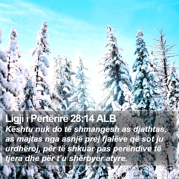 Ligji i Përtërirë 28:14 ALB Bible Study