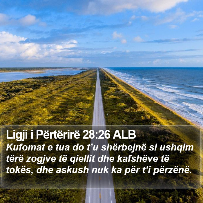 Ligji i Përtërirë 28:26 ALB Bible Study